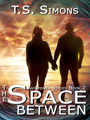 cover image of The Space Between